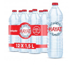 1,5 L Hayat Doğal Mineralli Su