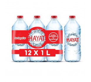 1 L Hayat Doğal Mineralli Su