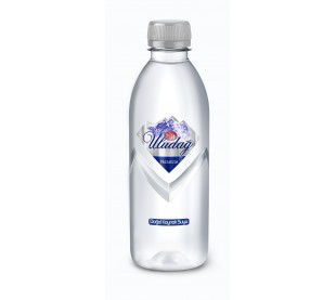 40 C Uludağ Premium Doğal Kaynak Suyu