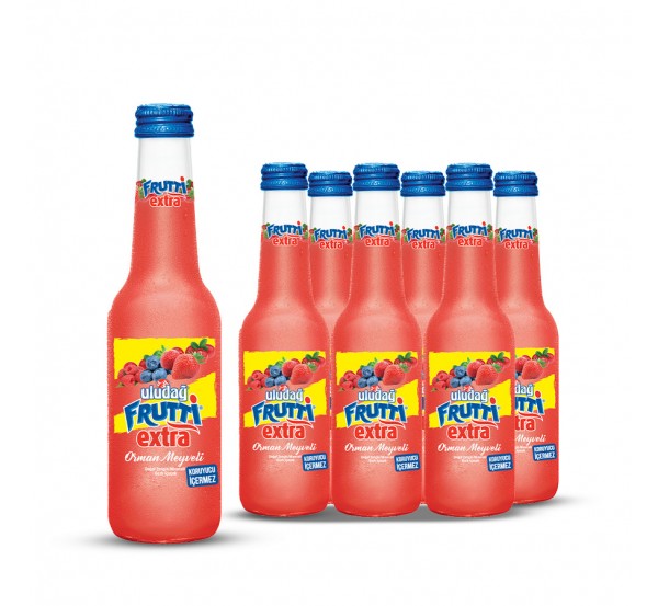 25 C Frutti Extra Orman Meyveli Maden Suyu