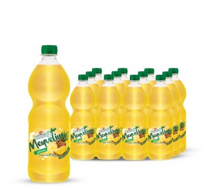 1 L Uludağ Meyvelim Ananas